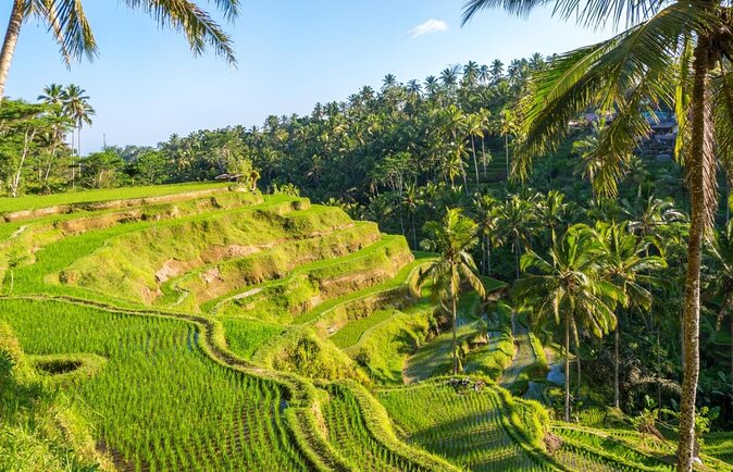 Electric Cycling Tour of Ubud with Free Hotel Transfer and Lunch - Key points to know before you book