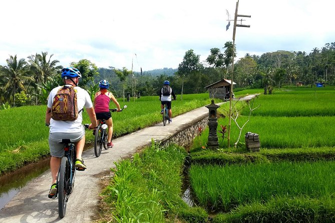 Electric Cycling Tour of Ubud with Free Hotel Transfer and Lunch - Tegalalang Rice Terrace and the best photo stop