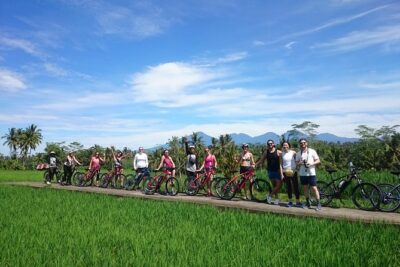 Electric Cycling Tour of Ubud with Free Hotel Transfer and Lunch