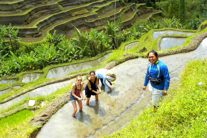 Electric Cycling Tour of Ubud with Free Hotel Transfer and Lunch - Temples, homes, and a look at ordinary Ubud