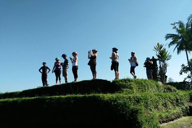 Electric Cycling Tour of Ubud with Free Hotel Transfer and Lunch - Lunch or dinner after the ride