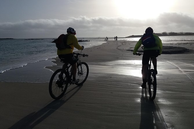 Eleftherna E-Bike and MTB Tour - Experience The Authentic Crete - Who will enjoy this ride most