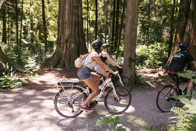 Epic Electric Bike Tour by Cycle City Tours - False Creek and modern Vancouver by the water