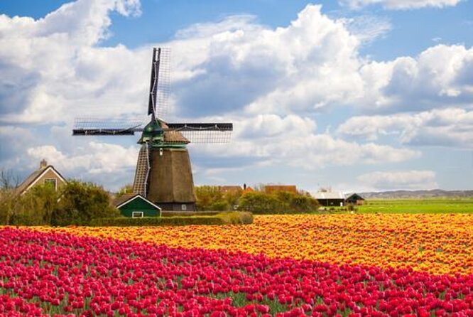 Escape Amsterdam: E-Bike to Zaanse Schans Windmills & Zaandam - Key points to know before booking