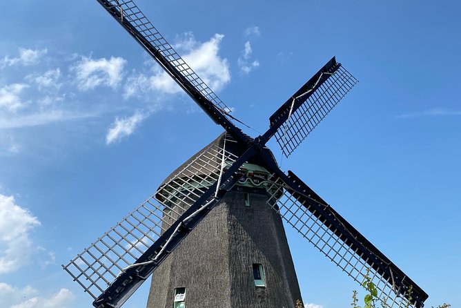 Escape Amsterdam: E-Bike to Zaanse Schans Windmills & Zaandam - Zaanse Schans, the main stop