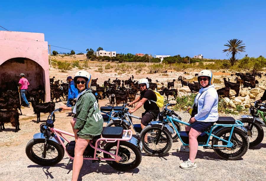 Essaouira: Area Highlights Guided E-Bike Tour - Ghazoua and the Argan Trees