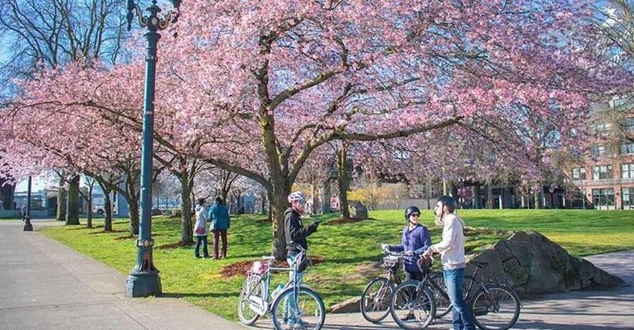 Essential Portland: 2-Hour Guided Bike Tour - Weather, Pace, and Practical Comfort