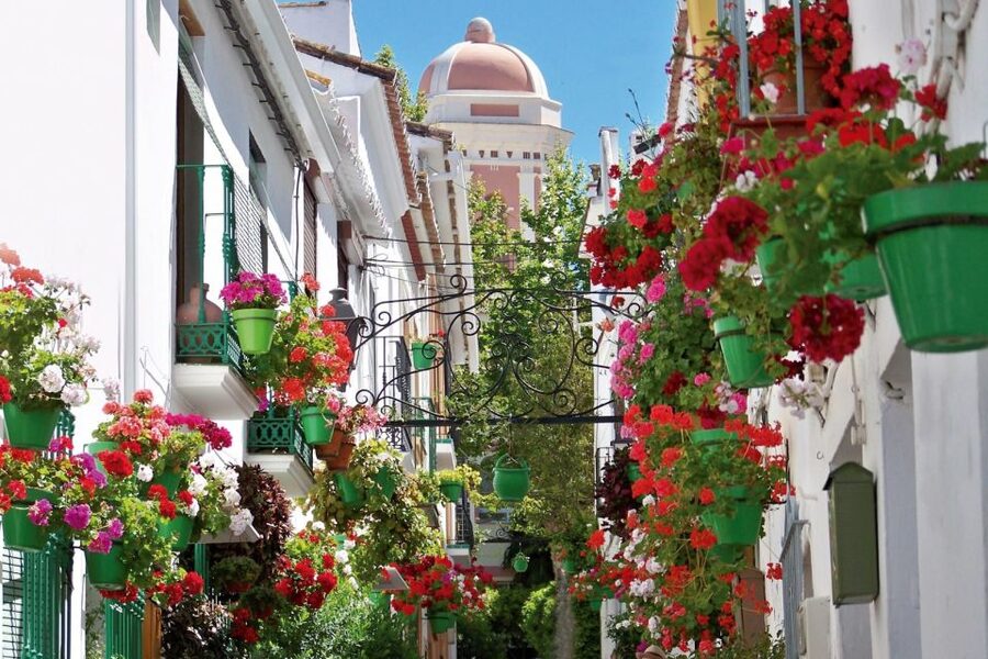 Estepona best kept secrets: City bike guided tour - Flower-filled streets and Andalusian homes