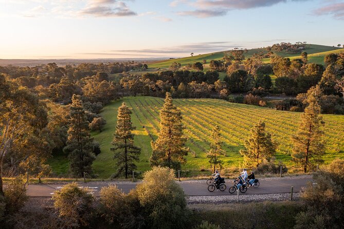 Experience Barossa Valley by E-bike - What the $240.28 price covers