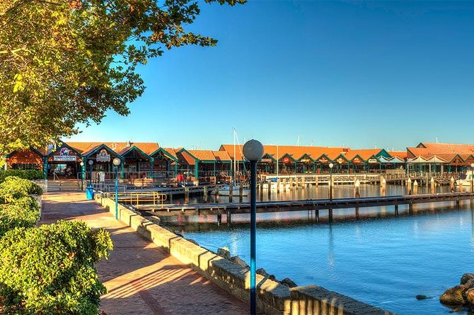 Experience Rottnest with Ferry & Bike Hire - The biggest weakness: bicycle condition