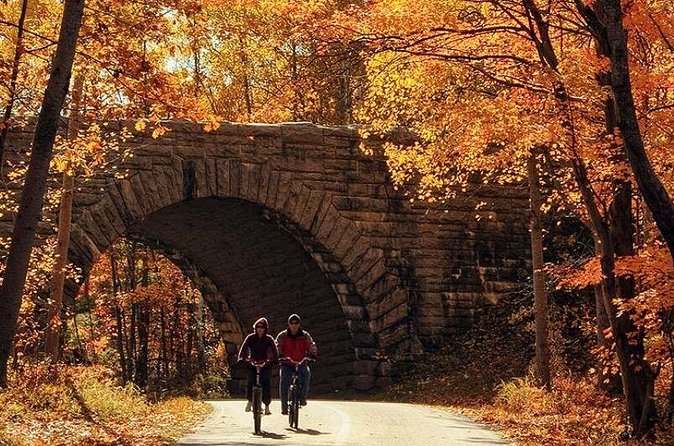 Explore Acadia with Ease Premium E-bike Rentals and Free Delivery - What the strong feedback tells you