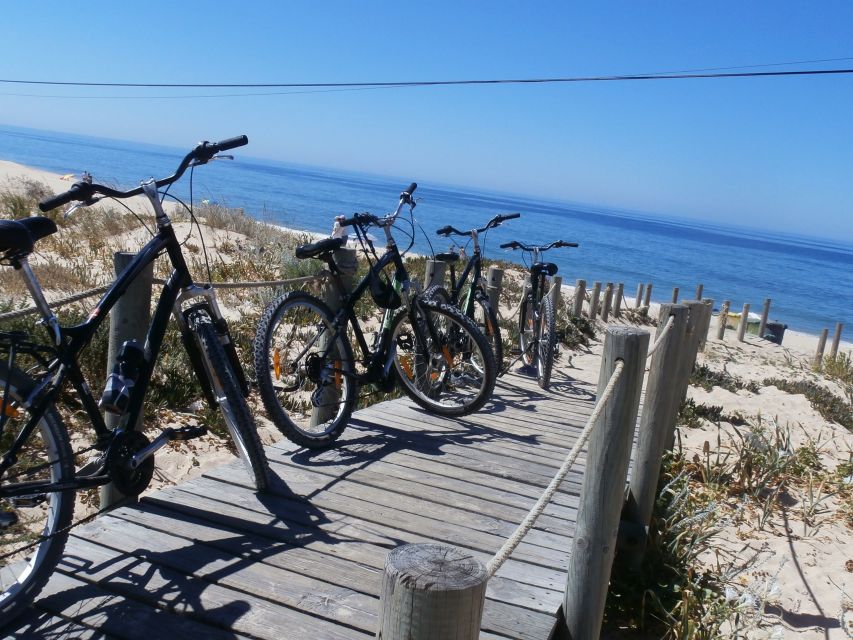 Faro Bike Tour through the Beautiful Ria Formosa - Practical Tips for a Better Ride