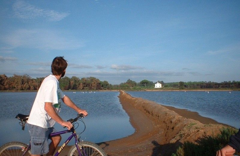 Faro Bike Tour through the Beautiful Ria Formosa - Starting Beside Faro’s Marina