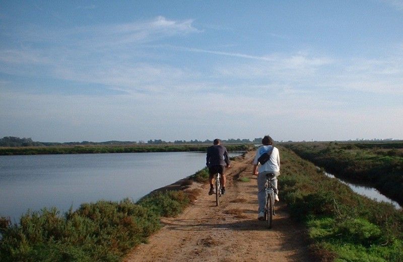 Faro Bike Tour through the Beautiful Ria Formosa - Marsh Channels, Islets, and Uneven Ground