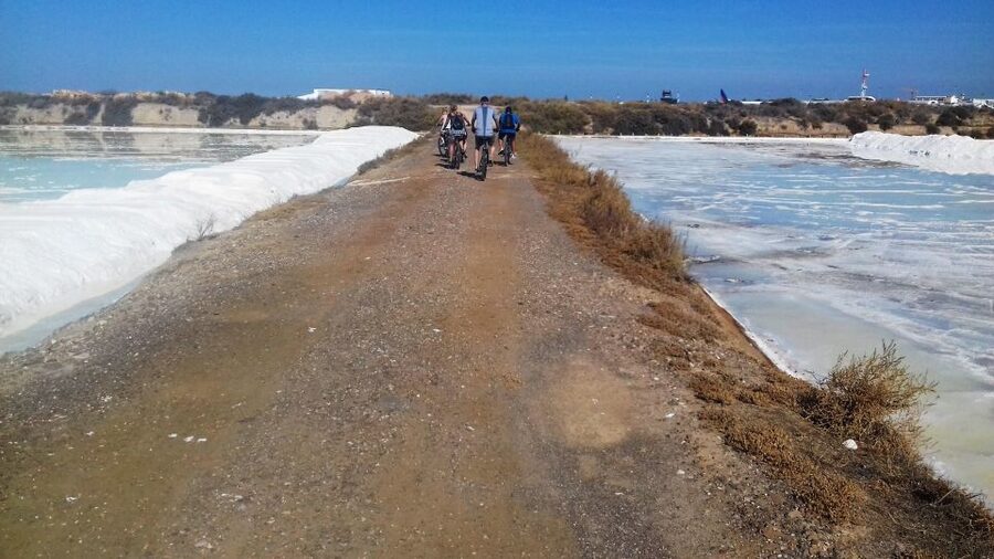 Faro Bike Tour through the Beautiful Ria Formosa - What Three Hours Gives You