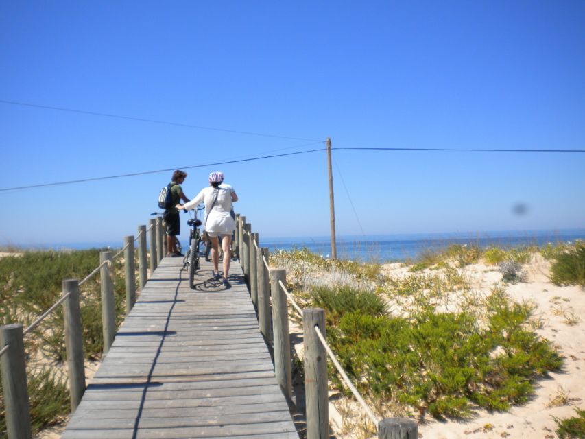 Faro Bike Tour through the Beautiful Ria Formosa - Is $58 a Fair Price?
