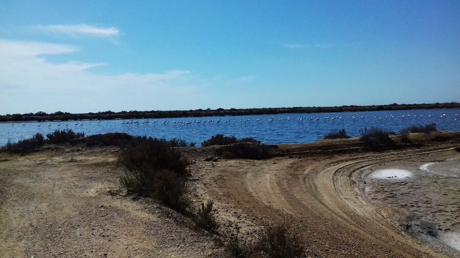 Faro Bike Tour through the Beautiful Ria Formosa - The Guides Make the Difference