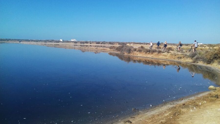 Faro Bike Tour through the Beautiful Ria Formosa - Who Should Book This Ride?