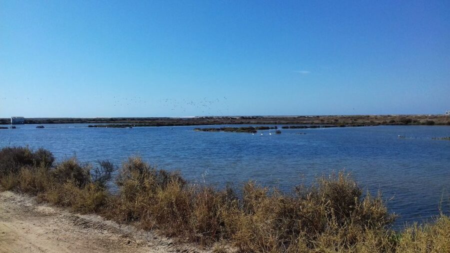 Faro Bike Tour through the Beautiful Ria Formosa - Pedaling Toward the Ria Formosa Saltpans