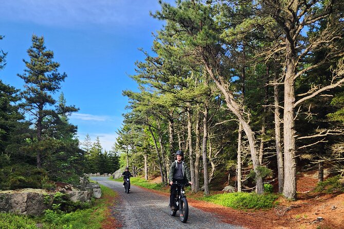 Fat Tire E-Bike Rental in Bar Harbor - Who will enjoy this most?