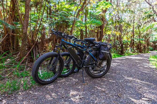 Fat Tire E-Bike Rental - Volcanoes National Park - Self-guided rental or guided ride?