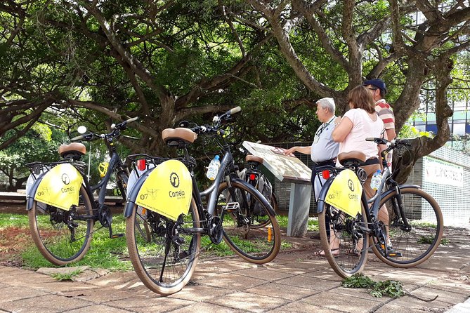 Fatima Neighborhood and Church Unit Bike Tour - Burle Marx Garden and the art of open space