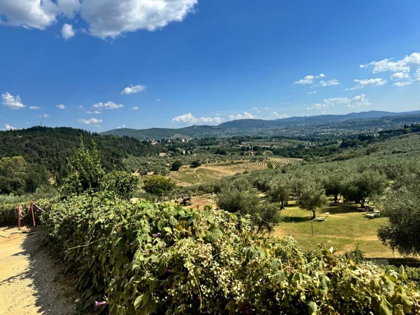 Fiesole E-Bike Tour with Olive Oil Tasting or Pool & Chill - Which version should you choose?
