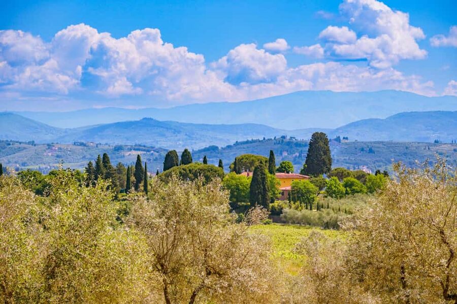 Florence: Chianti E-Bike Tour with Lunch & Two Wine Tastings - Why this Chianti ride works so well from Florence