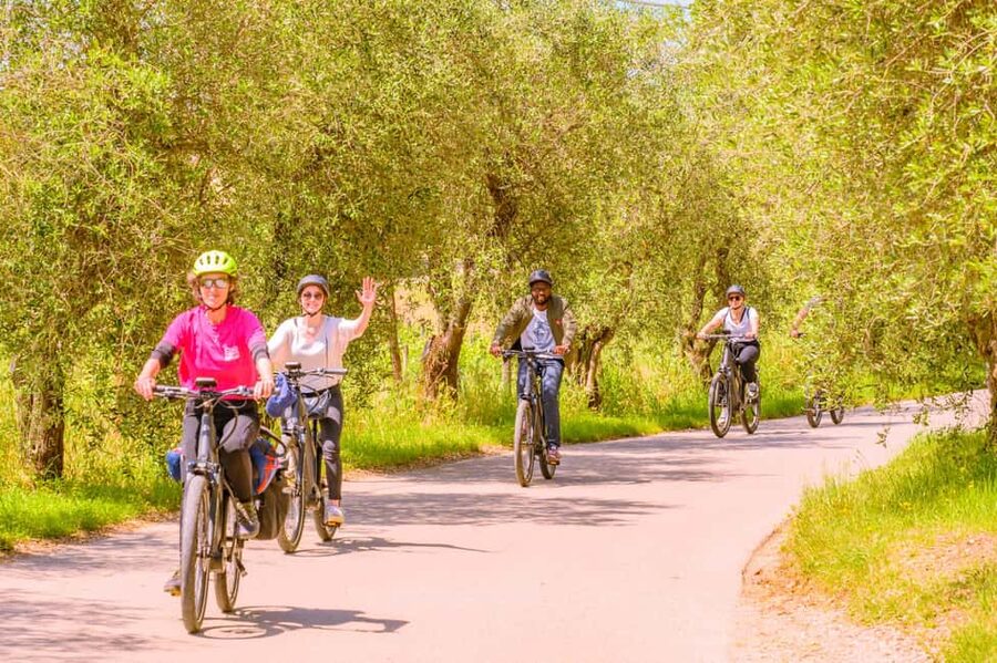 Florence: Chianti E-Bike Tour with Lunch & Two Wine Tastings - Who should book this experience