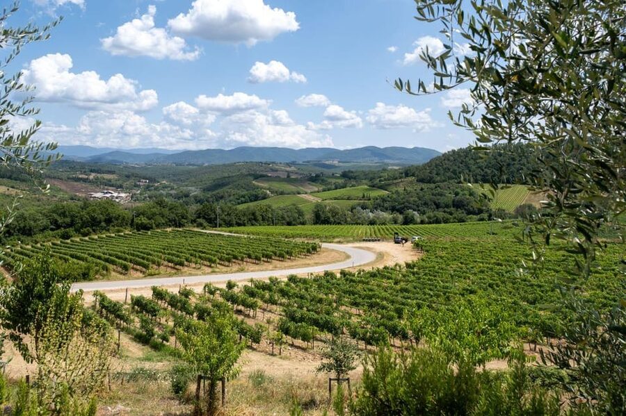 Florence: Chianti E-Bike Tour with Wine Tasting and Lunch - Biological wine tasting in the Chianti countryside