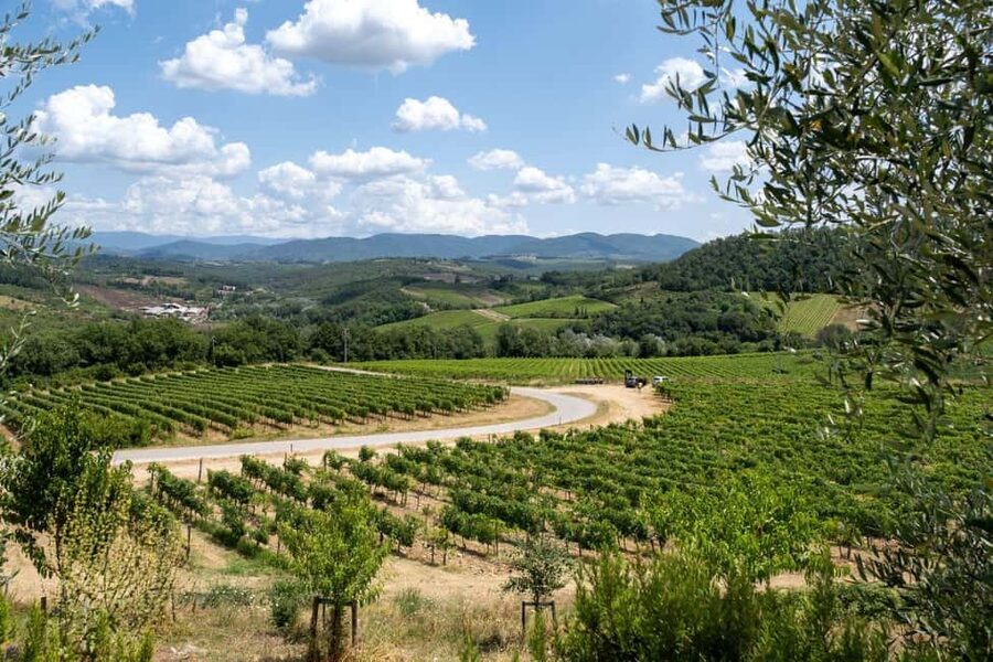 Florence: Chianti E-Bike Tour with Wine Tasting and Lunch - What to bring and what to expect at check-in