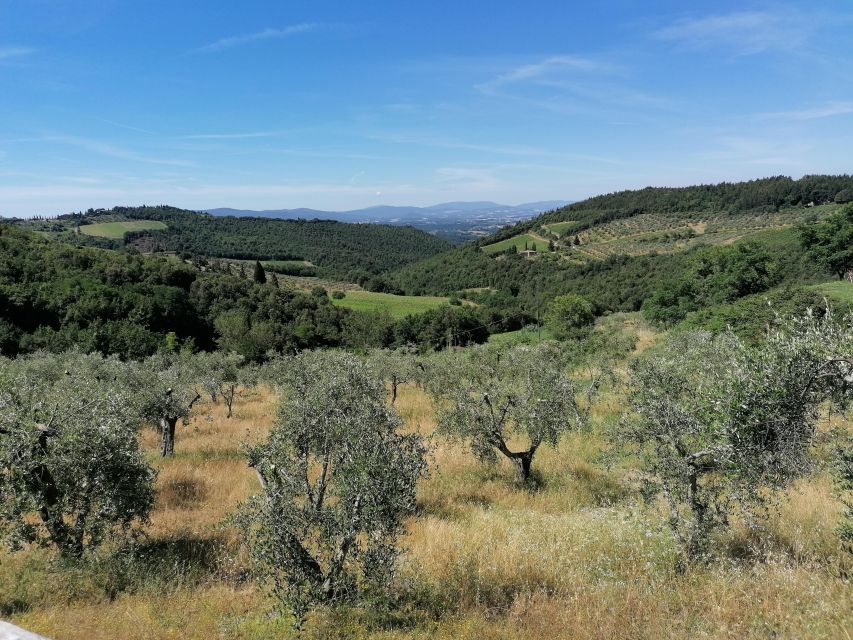 Florence: E-Bike Tour with Olive Oil in the Tuscan Hills - Pian dei Giullari and the story of the hills