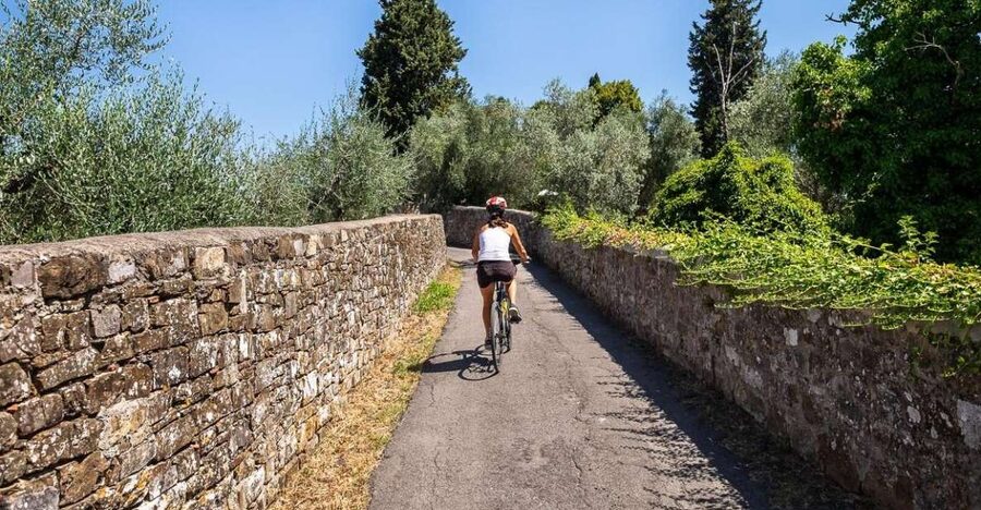 Florence: Tuscany Bike Tour with Wine & Olive Oil - Key points to know before booking