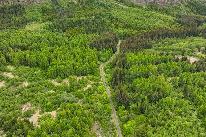 Forest Lagoon Ebike Tour Akureyri - Why this is a smart way to see Akureyri