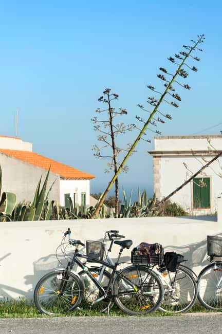 Formentera: discover our fast ferry + bike package - Key points to know before booking