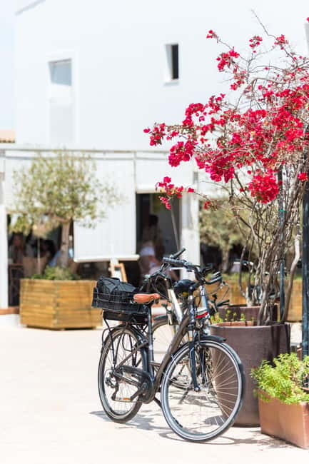 Formentera: discover our fast ferry + bike package - Leaving Ibiza on the 30-minute fast ferry