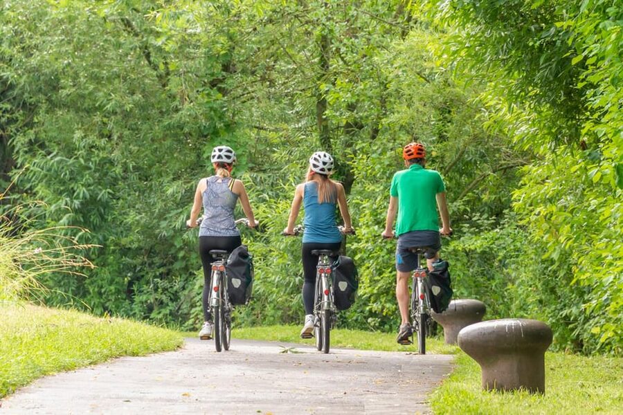 Frankfurt: Full-Day Bicycle or E-Bike Rental - Helmet choice and basic preparation