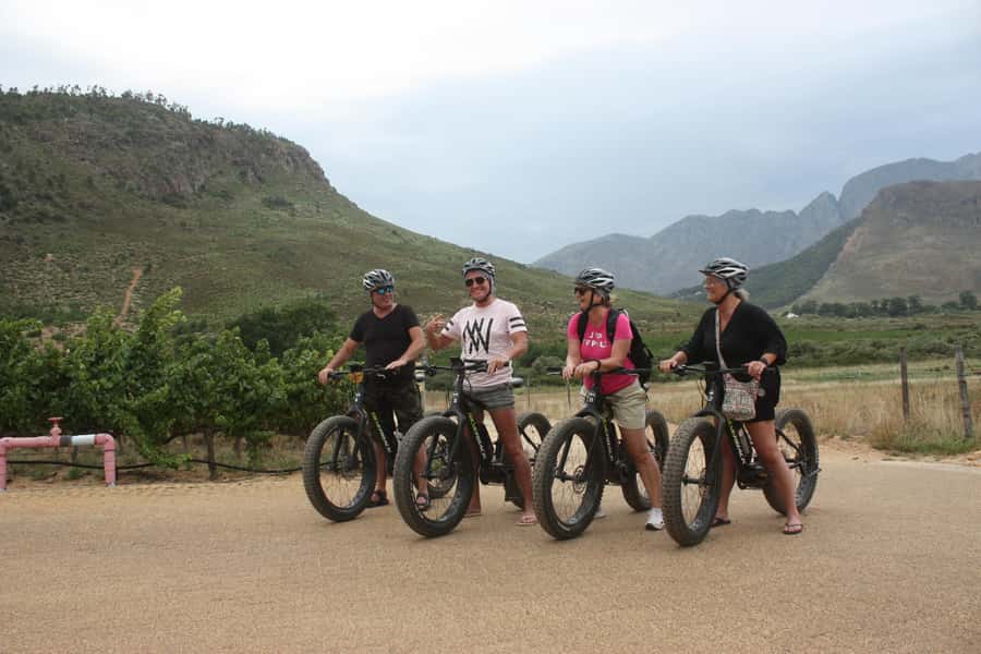 Franschhoek: E-Bike Guided Winery Tour - Is $89 a fair price?