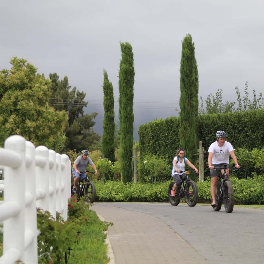 Franschhoek: E-Bike Guided Winery Tour - The first 25 minutes: leaving Franschhoek for the vineyards
