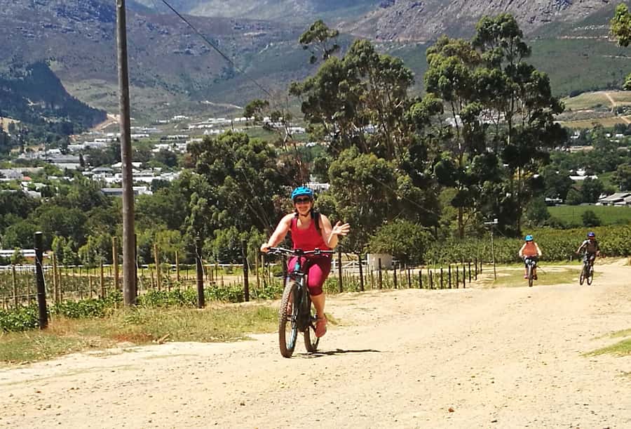 Franschhoek: E-bike Tour with Wine Tasting and Lunch - From Stellenbosch to the Banhoek Conservancy