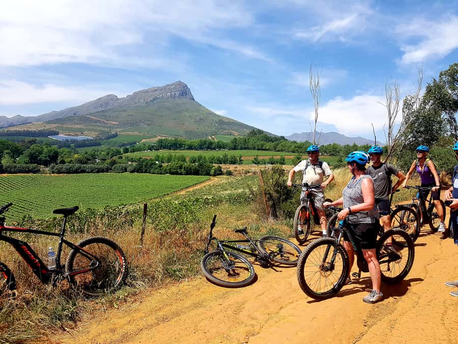 Franschhoek: E-bike Tour with Wine Tasting and Lunch - Mountain streams, wildlife, and the quieter side of the Winelands