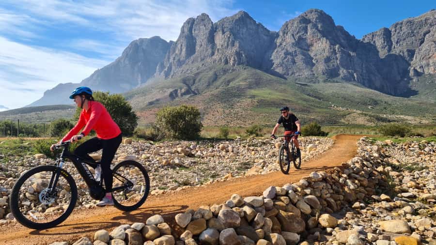 Franschhoek: E-bike Tour with Wine Tasting and Lunch - Hidden back entrances to Franschhoek wine country