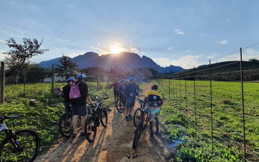 Franschhoek: E-bike Tour with Wine Tasting and Lunch - Lunch and wine at the Franschhoek estate