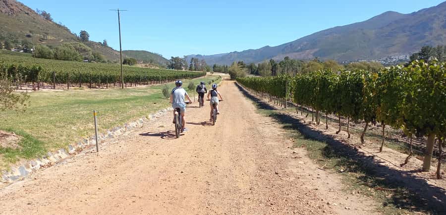 Franschhoek E-Bike & Wine Tour - Key points to know before you book