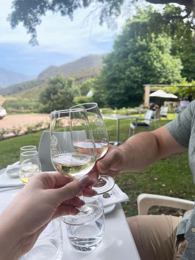 Franschhoek E-Bike & Wine Tour - Why an e-bike works well in Franschhoek