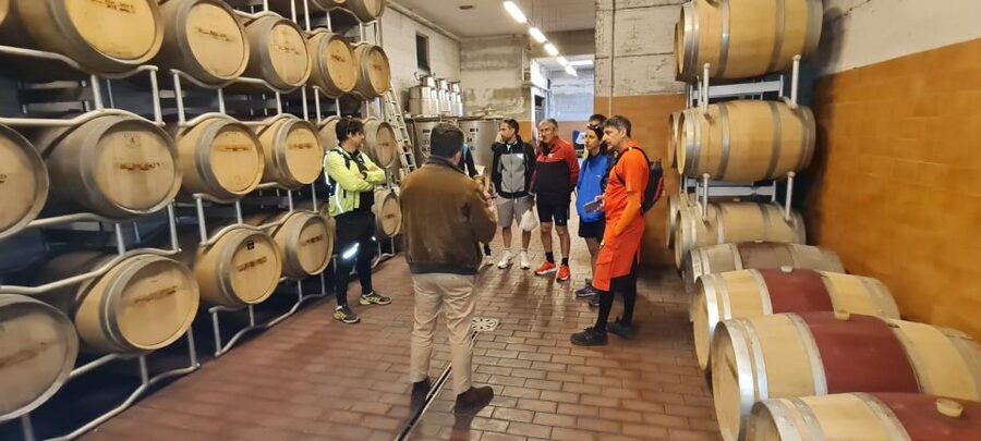 Frascati: Tour in E-Bike with Wine Tasting - The Guides Make the Biggest Difference