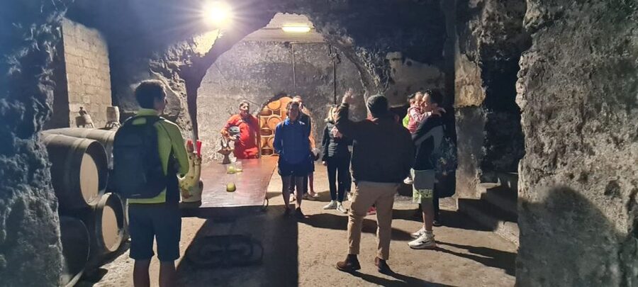Frascati: Tour in E-Bike with Wine Tasting - Timing, Price, and Practical Value