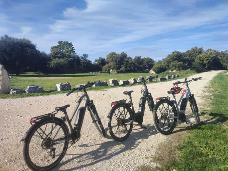From Aix-en-Provence: Luberon Region E-Bike Full-Day tour - Transport keeps the day simple