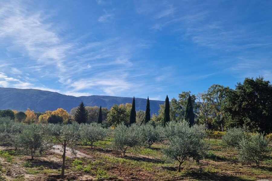 From Avignon: Full-Day E-Bike Tour in the Luberon Region - Key points to know before booking