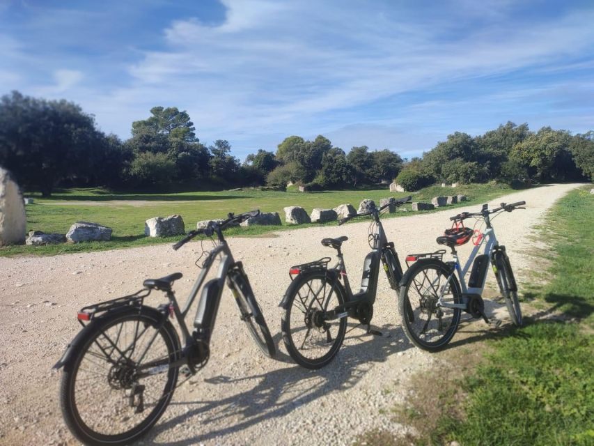 From Avignon: Full-Day E-Bike Tour in the Luberon Region - Leaving Avignon for Bonnieux at 8am